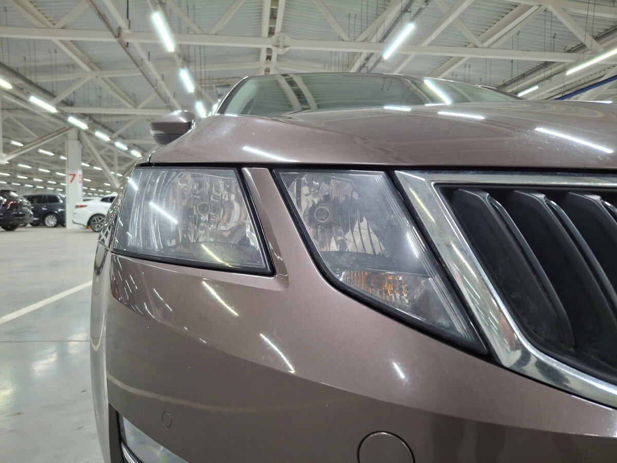 Skoda Octavia 2020 года с пробегом. Фото: #16