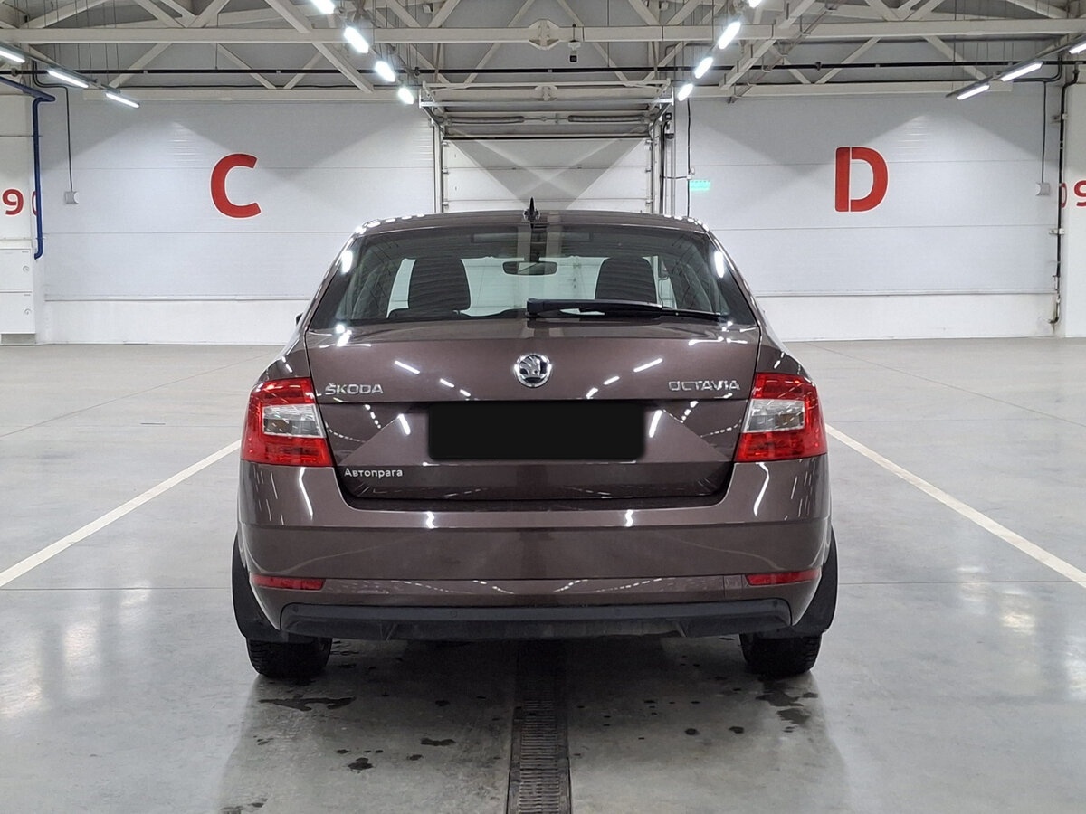 Skoda Octavia 2020 года с пробегом. Фото: #5