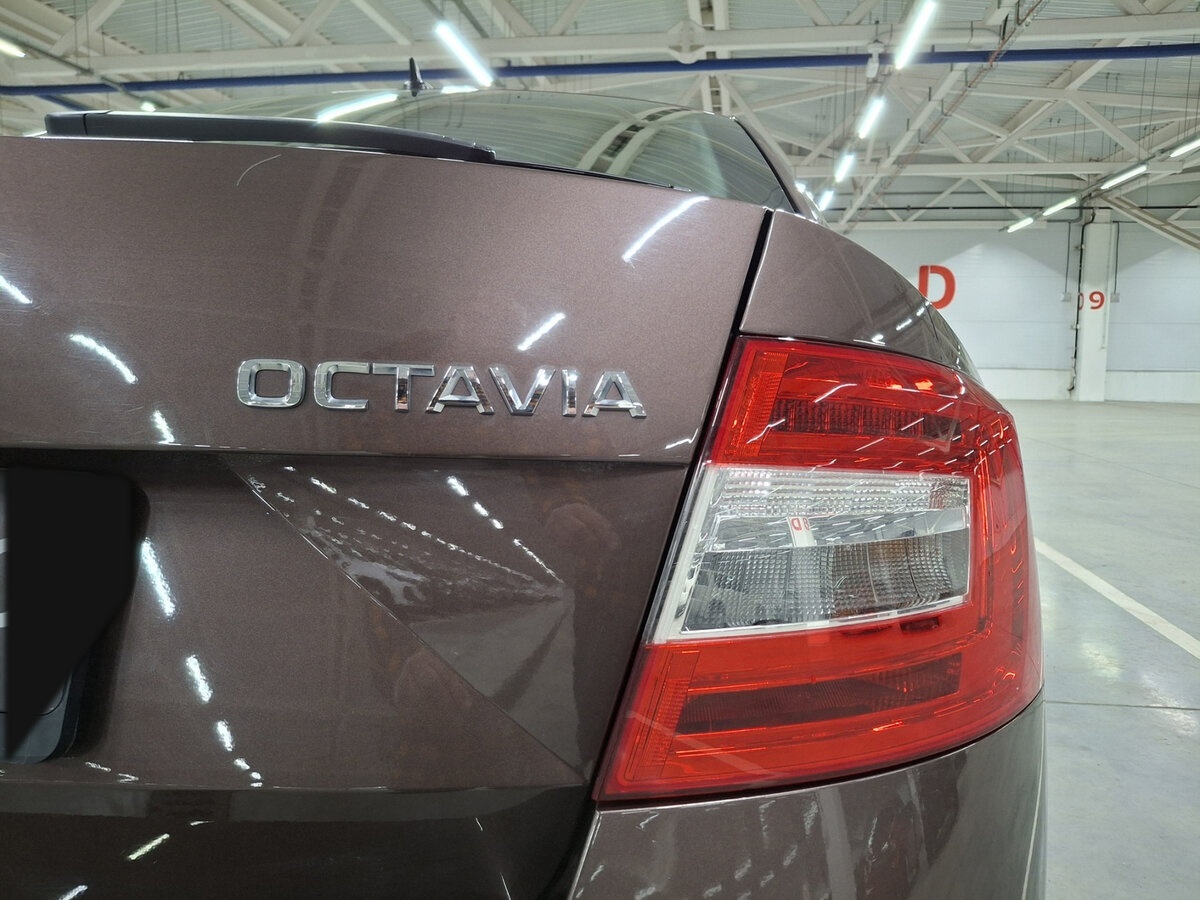 Skoda Octavia 2020 года с пробегом. Фото: #8