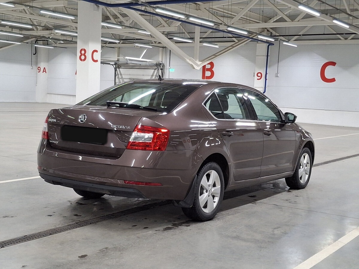 Skoda Octavia 2020 года с пробегом. Фото: #4