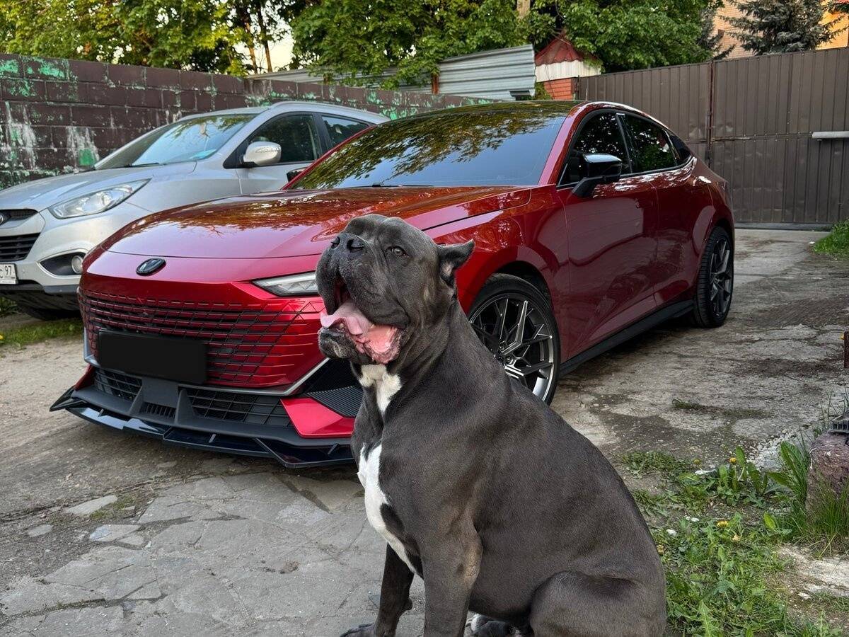 Changan UNI-V 2022 года с пробегом. Фото: #4